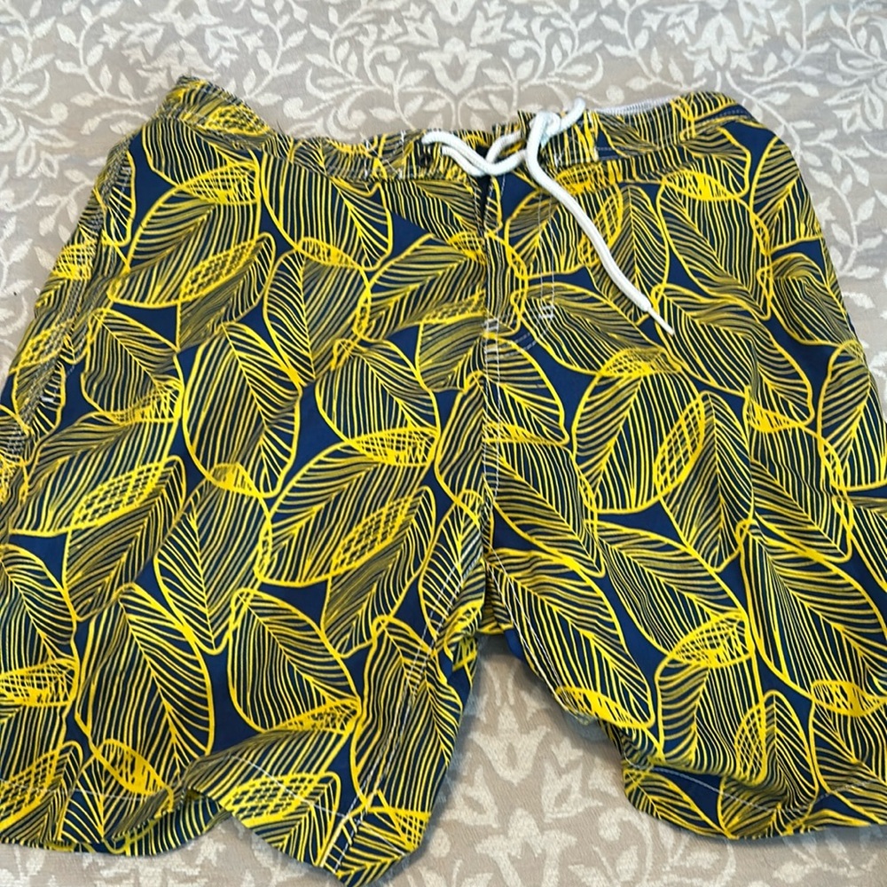 Trunks Surf and Swim Board Shorts - M